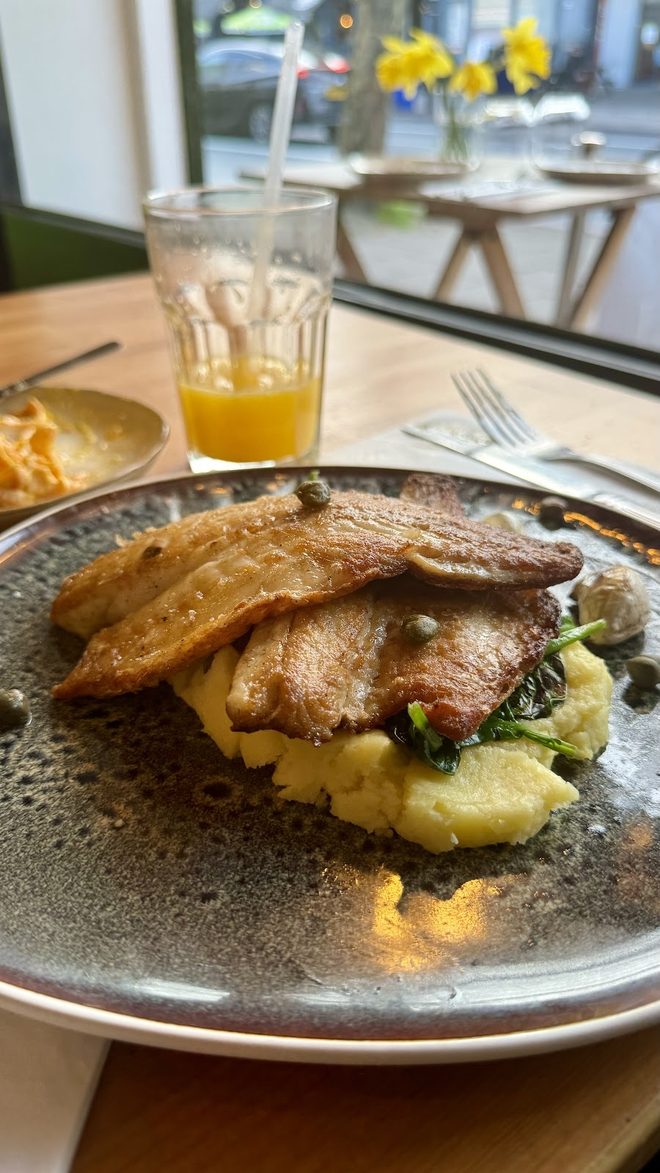 Grilled meat over mash and greens with the daylit window behind